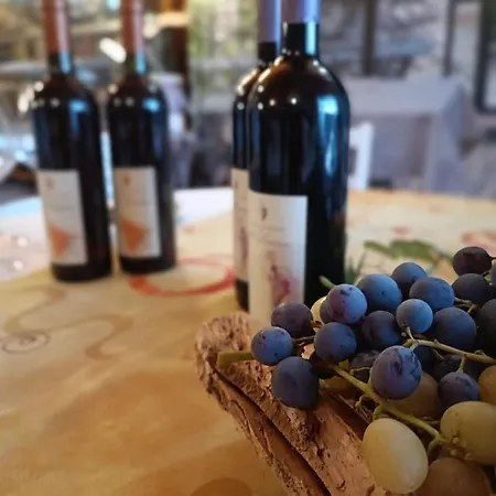 La Locanda Degli Elfi Di Locanda Casa Porrati Bed & Breakfast