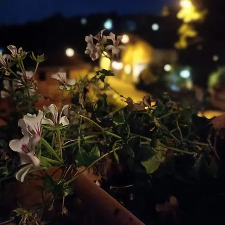 La Locanda Degli Elfi Di Locanda Casa Porrati
